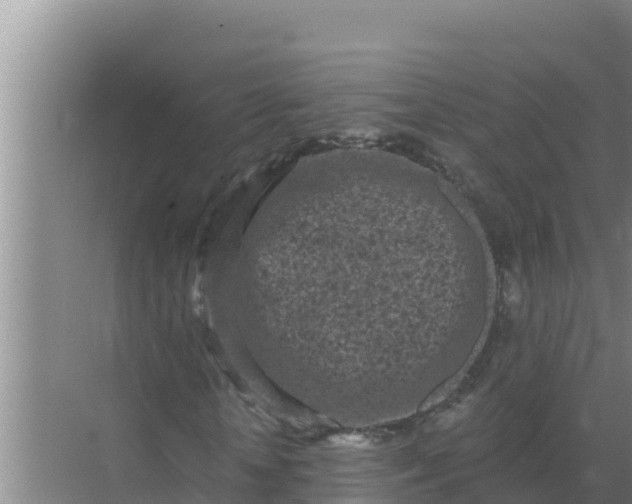 X0000071770818200607150026