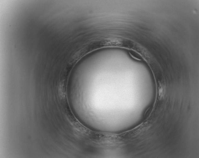 X0000071770819200607150026