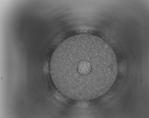 X0000071770820200607150026