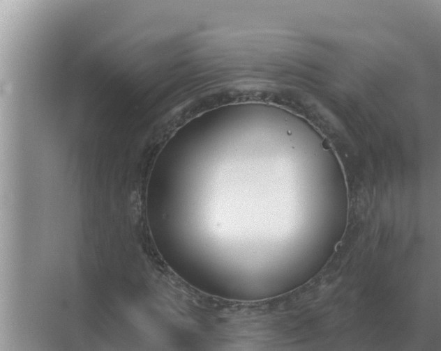 X0000071770821200607150026