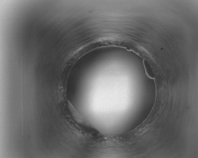 X0000071770822200607150026