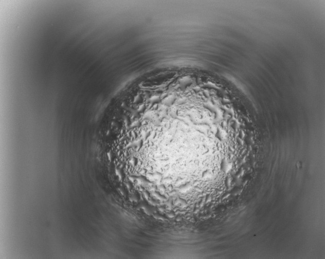 X0000071770823200607150026