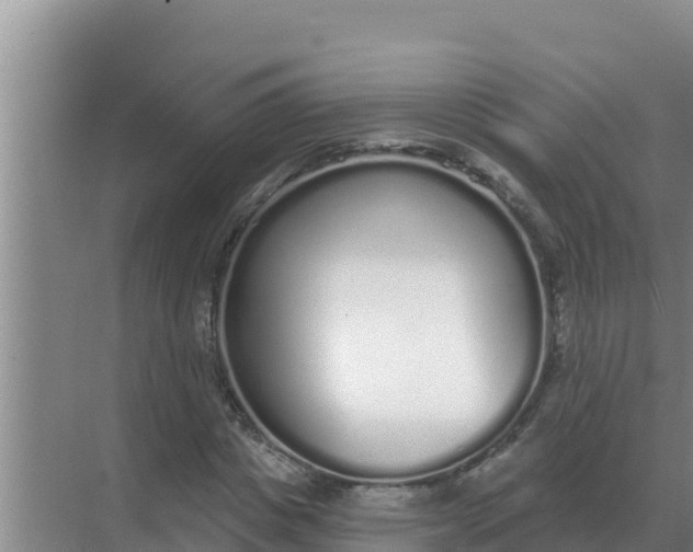 X0000071770825200607150026