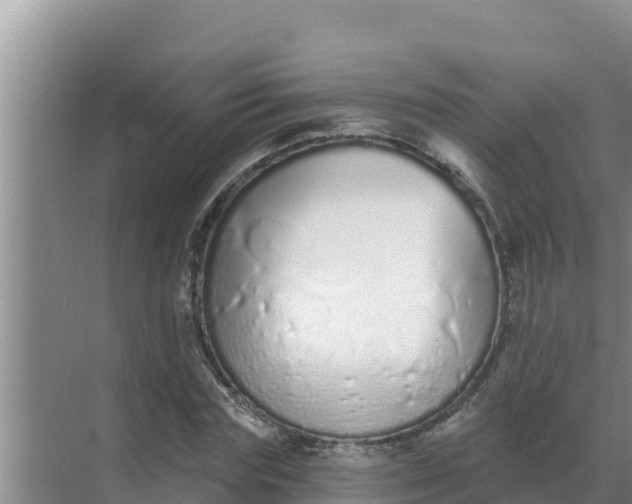 X0000071770827200607150026