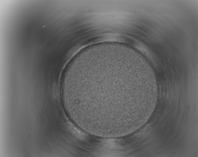 X0000071770828200607150026