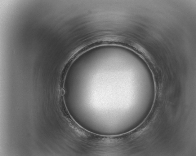 X0000071770829200607150026