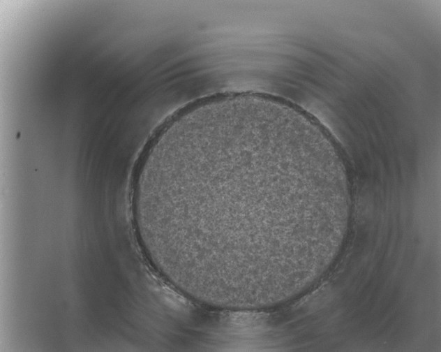 X0000071770832200607150026