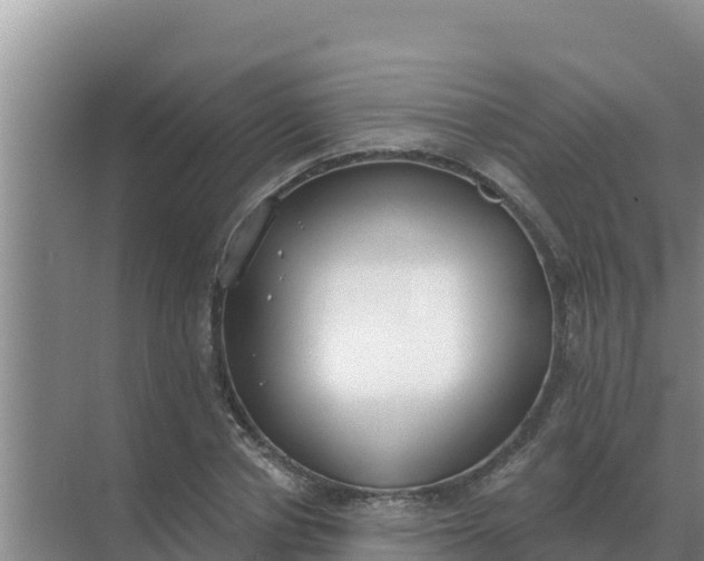 X0000071770834200607150026