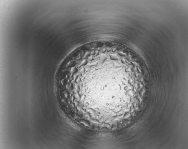 X0000071770835200607150026