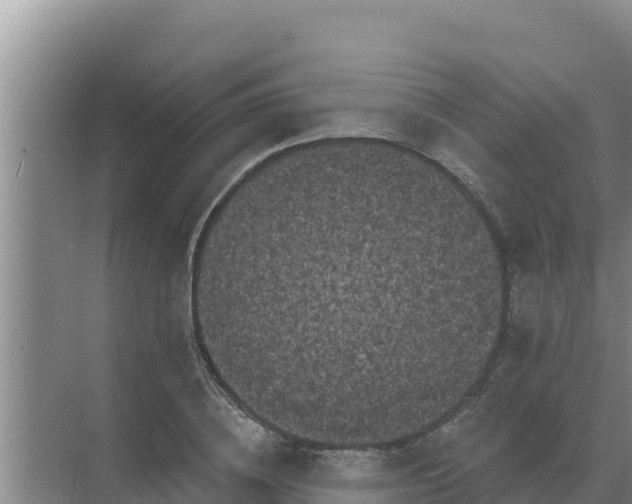 X0000071770836200607150026