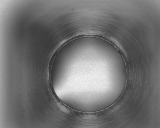 X0000071770837200607150026