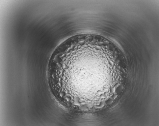 X0000071770839200607150026