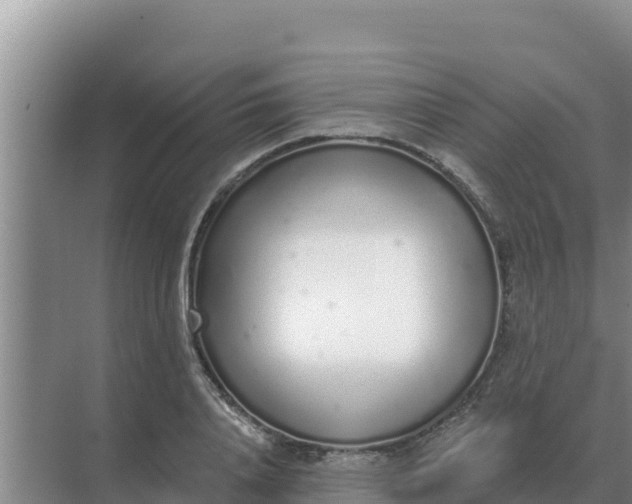 X0000071770840200607150026