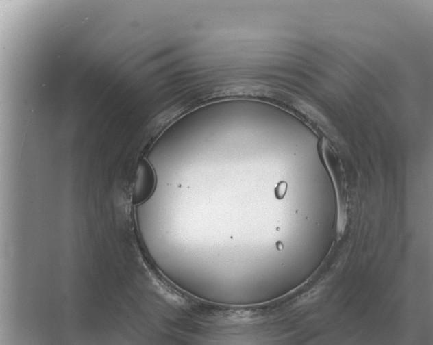 X0000071770841200607150026