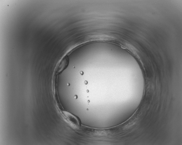 X0000071770843200607150026