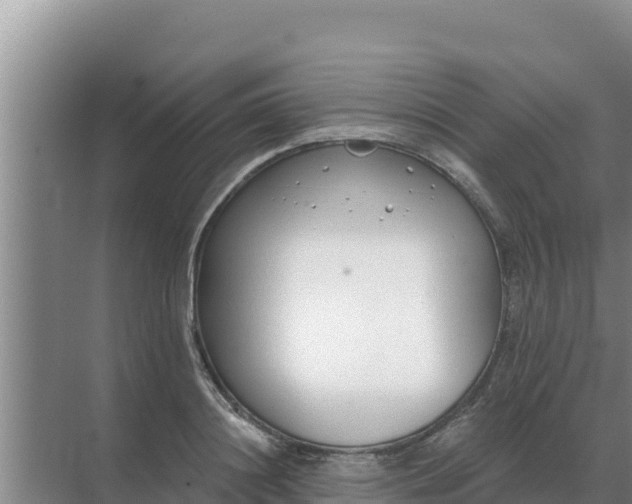 X0000071770844200607150026