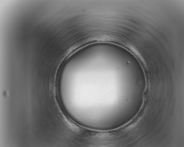 X0000071770845200607150026