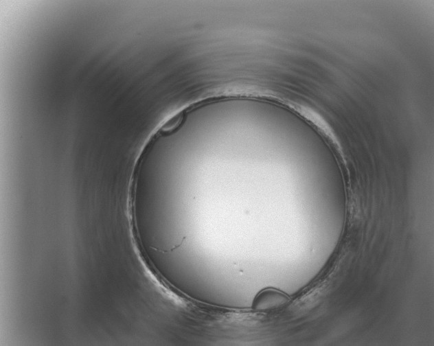 X0000071770847200607150026