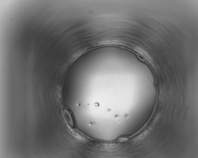 X0000071770849200607150026