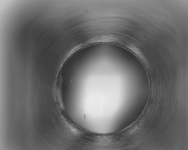 X0000071770850200607150026