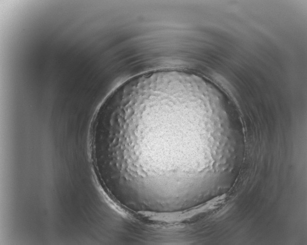 X0000071770851200607150026