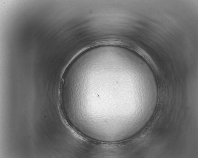 X0000071770852200607150026