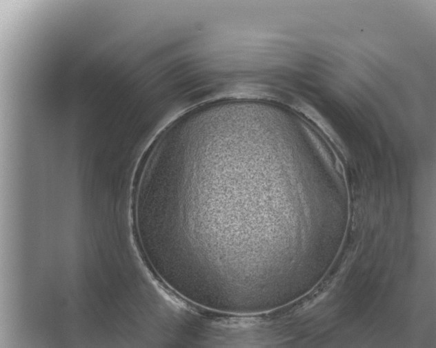 X0000071770853200607150026