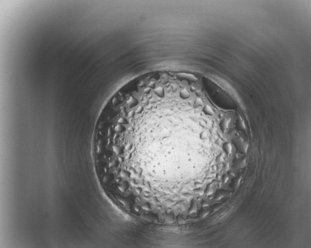 X0000071770855200607150026