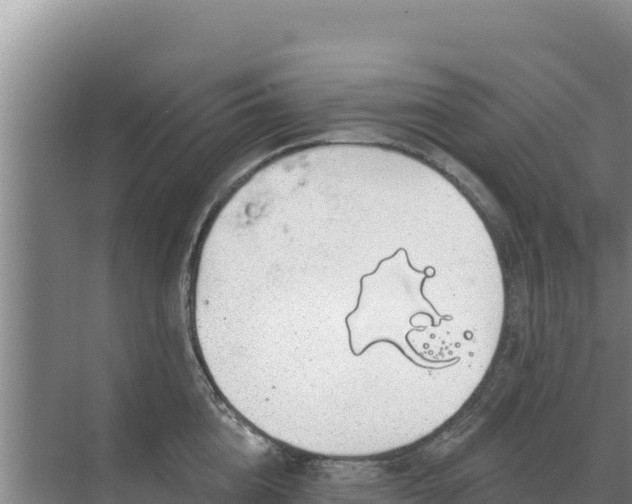 X0000071770856200607150026