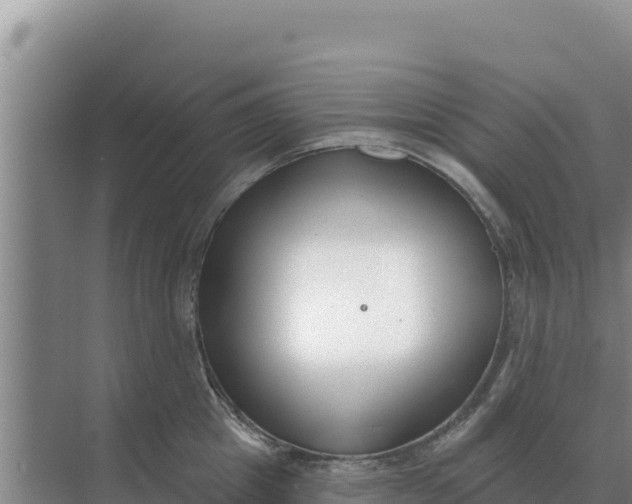 X0000071770857200607150026