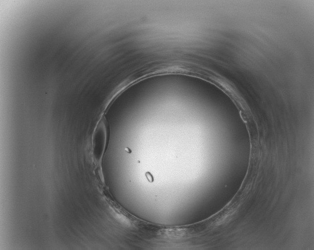 X0000071770858200607150026