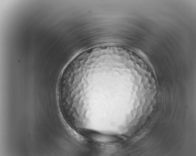 X0000071770859200607150026