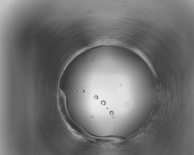 X0000071770861200607150026