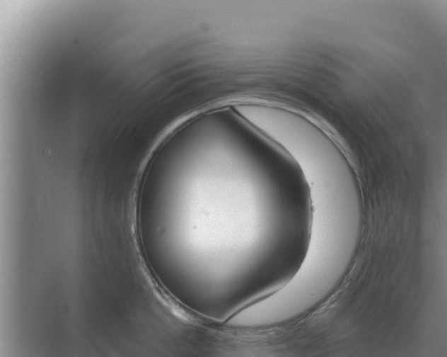 X0000071770862200607150026