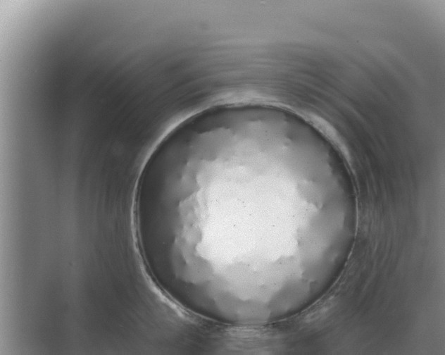 X0000071770863200607150026