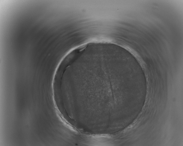 X0000071770864200607150026