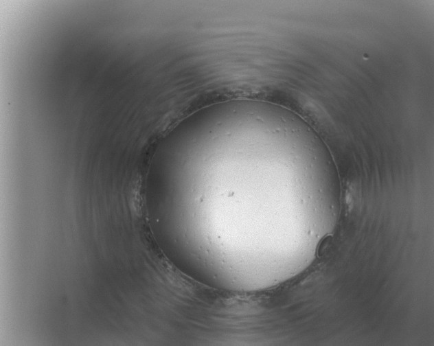 X0000071770867200607150026