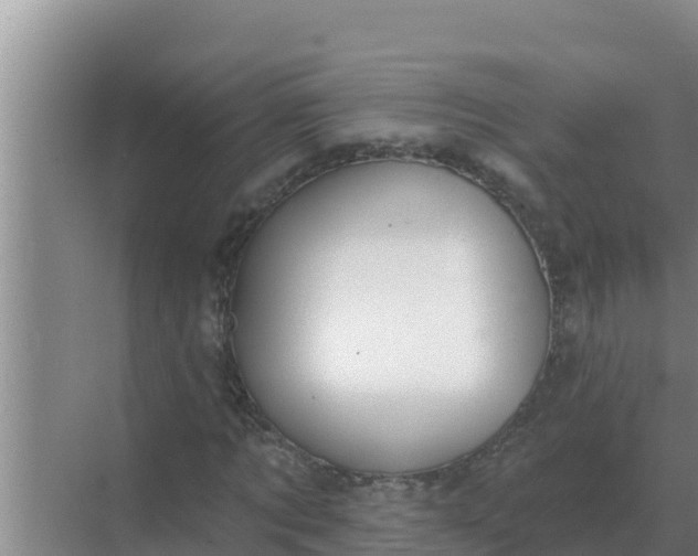 X0000071770869200607150026