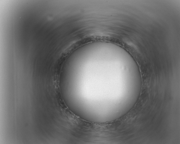 X0000071770870200607150026