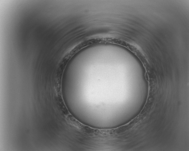 X0000071770871200607150026