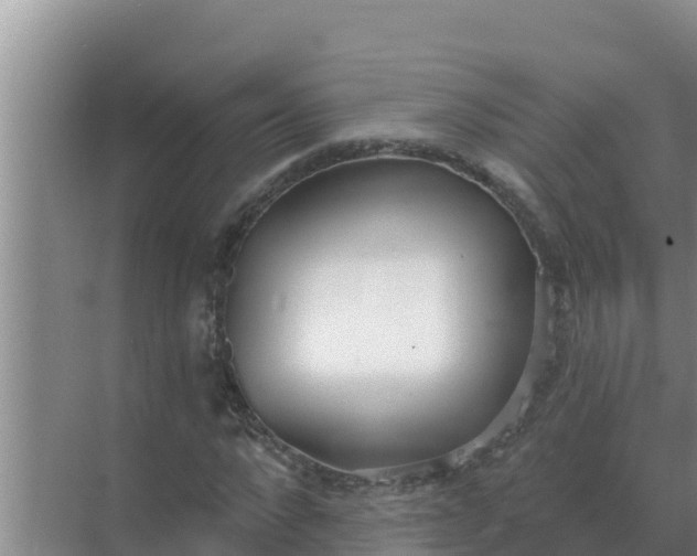 X0000071770872200607150026