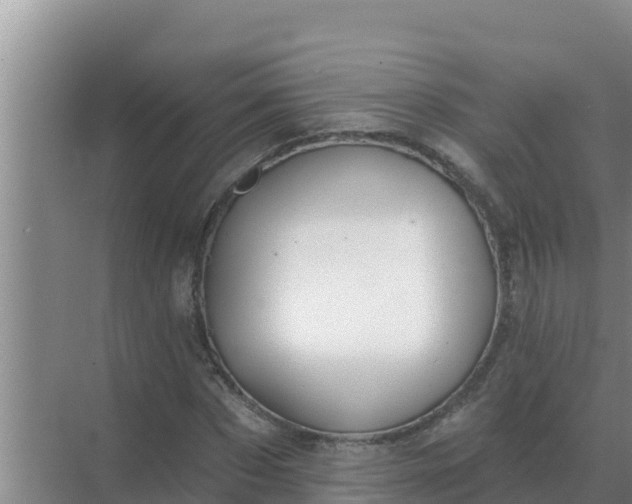 X0000071770873200607150026