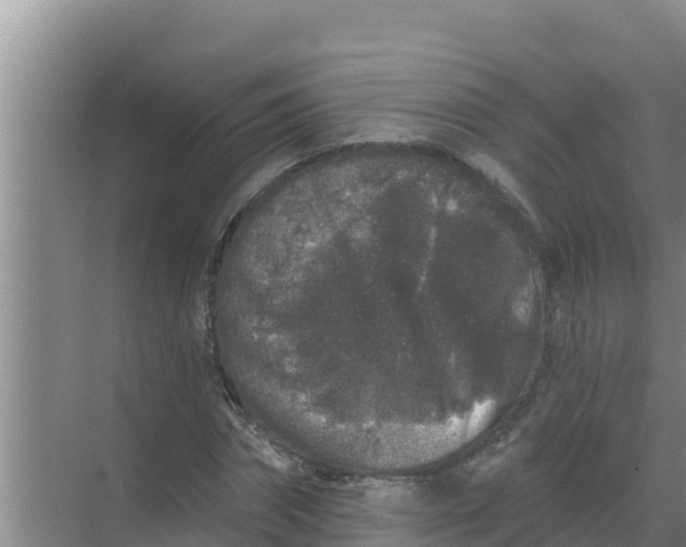 X0000071770874200607150026