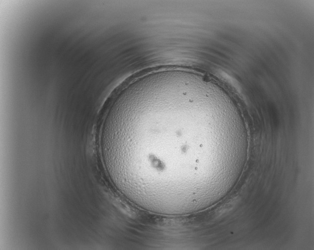 X0000071770875200607150025