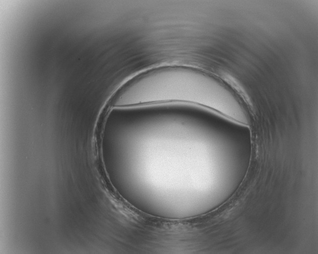 X0000071770876200607150025