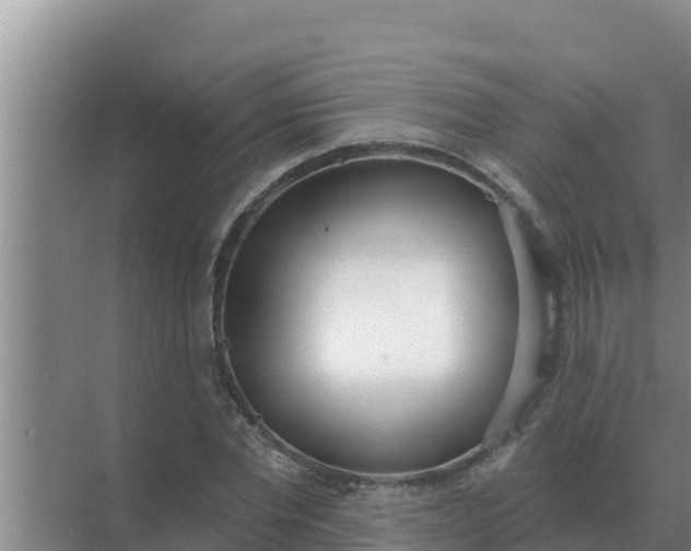 X0000071770877200607150025