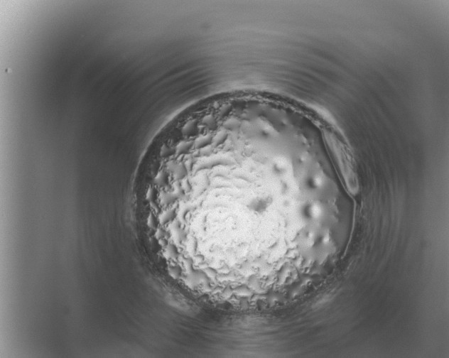 X0000071770879200607150025