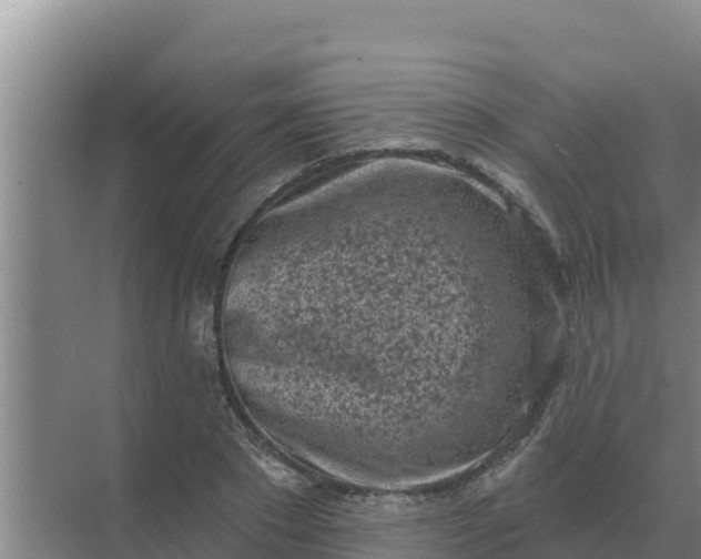 X0000071770881200607150025