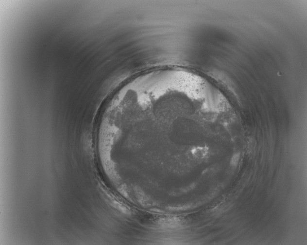 X0000071770882200607150025