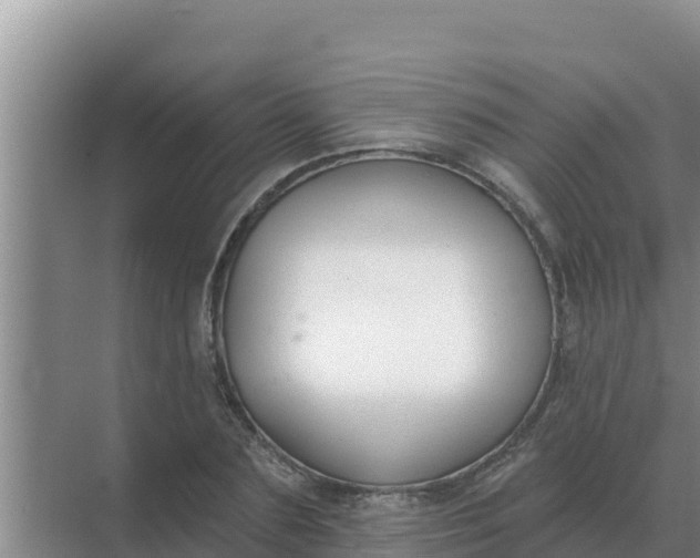 X0000071770883200607150025